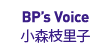 BP's Voice Sound & Lighting Plnner